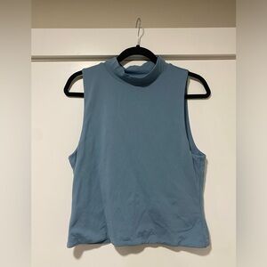 Aritzia Blue Crop Top